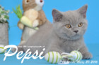 Pepsi ist 12 Wochen alt geworden ( 20.03.2016 )
