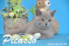 Picasso ist 12 Wochen alt geworden ( 20.03.2016 )