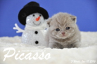 Picasso ist 3 Wochen alt geworden ( 17.01.2016 )