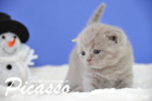 Picasso ist 3 Wochen alt geworden ( 17.01.2016 )