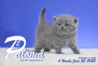 Paloma ist in der 4.Lebenswoche ( 25.06.2022 )