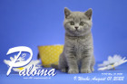 Paloma ist in der 9.Lebenswoche ( 01.08.2022 )
