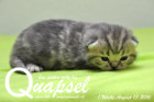 Quapsel ist 1 Woche alt( 13.08.2016 )