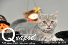 Quapsel ist 12 Wochen alt geworden ( 26.10.2016 )
