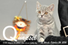 Quapsel ist 12 Wochen alt geworden ( 26.10.2016 )