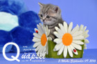 Quapsel ist 5 Wochen alt geworden ( 09.09.2016 )