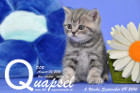 Quapsel ist 5 Wochen alt geworden ( 09.09.2016 )