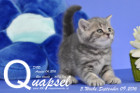 Quapsel ist 5 Wochen alt geworden ( 09.09.2016 )