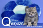 Quapsel ist 5 Wochen alt geworden ( 09.09.2016 )