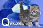 Quapsel ist 5 Wochen alt geworden ( 09.09.2016 )