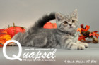 Quapsel ist 9 Wochen alt geworden ( 08.10.2016 )