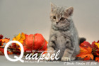 Quapsel ist 9 Wochen alt geworden ( 08.10.2016 )