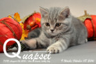 Quapsel ist 9 Wochen alt geworden ( 08.10.2016 )