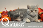 Quapsel ist 9 Wochen alt geworden ( 08.10.2016 )