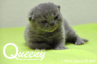 Queeny ist 1 Woche alt ( 13.08.2016 )
