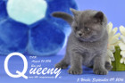 Queeny ist 5 Wochen alt geworden ( 09.09.2016 )