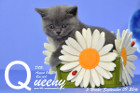 Queeny ist 5 Wochen alt geworden ( 09.09.2016 )