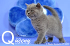 Queeny ist 5 Wochen alt geworden ( 09.09.2016 )