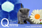 Queeny ist 5 Wochen alt geworden ( 09.09.2016 )