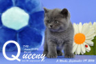 Queeny ist 5 Wochen alt geworden ( 09.09.2016 )