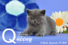 Queeny ist 5 Wochen alt geworden ( 09.09.2016 )