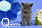 Queeny ist 5 Wochen alt geworden ( 09.09.2016 )