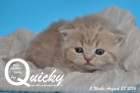 Quicky ist 3 Wochen alt geworden ( 27.08.2016 )