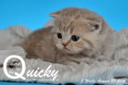 Quicky ist 3 Wochen alt geworden ( 27.08.2016 )