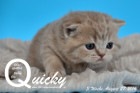 Quicky ist 3 Wochen alt geworden ( 27.08.2016 )