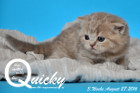 Quicky ist 3 Wochen alt geworden ( 27.08.2016 )