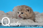 Quicky ist 3 Wochen alt geworden ( 27.08.2016 )