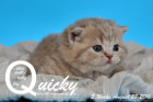 Quicky ist 3 Wochen alt geworden ( 27.08.2016 )