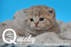 Quicky ist 3 Wochen alt geworden ( 27.08.2016 )