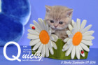 Quicky ist 5 Wochen alt geworden ( 09.09.2016 )