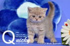 Quicky ist 5 Wochen alt geworden ( 09.09.2016 )