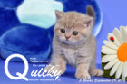 Quicky ist 5 Wochen alt geworden ( 09.09.2016 )