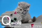 Quicky ist 7 Wochen alt geworden ( 09.09.2016 )