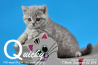 Quicky ist 7 Wochen alt geworden ( 09.09.2016 )