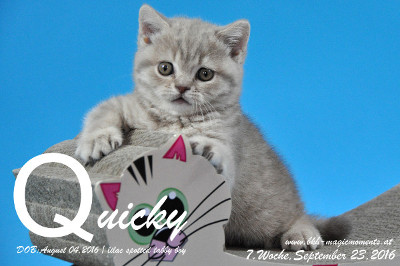 Quicky ist 7 Wochen alt geworden ( 09.09.2016 )