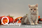 Quicky ist 9 Wochen alt geworden ( 08.10.2016 )