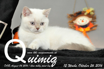 Quimiq ist 12 Wochen alt geworden ( 26.10.2016 )