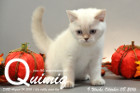 Quimiq ist 9 Wochen alt geworden ( 08.10.2016 )