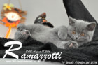 Ramazzotti ist 10 Wochen alt geworden ( 26.10.2016 )
