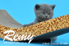 Remy ist 5 Wochen alt geworden ( 23.09.2016 )