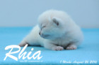 Rhia ist 1 Woche alt geworden ( 26.08.2016 )