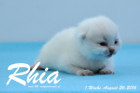 Rhia ist 1 Woche alt geworden ( 26.08.2016 )