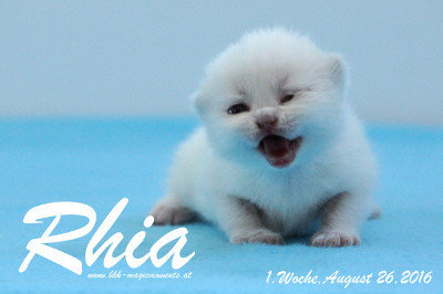 Rhia ist 1 Woche alt geworden ( 26.08.2016 )