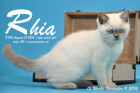 Rhia ist 12 Wochen alt geworden ( 11.11.2016 )