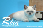 Rhia ist 12 Wochen alt geworden ( 11.11.2016 )