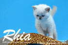 Rhia ist 5 Woche alt geworden ( 23.09.2016 )